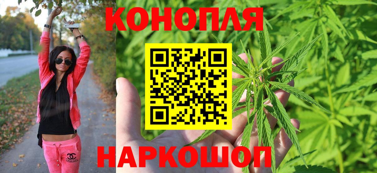 Каннабис план Знаменск